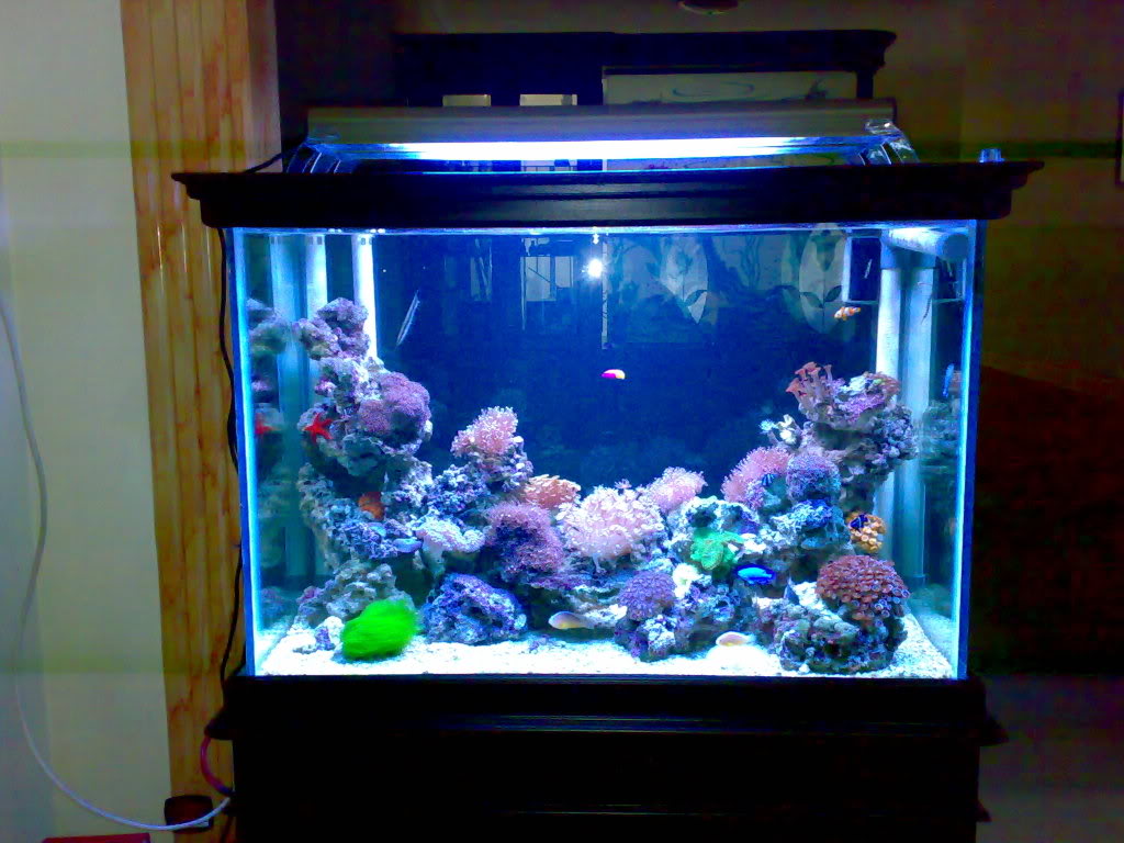 Jual Aquarium Acrylic – SUPPLIER ACRYLIC JAKARTA